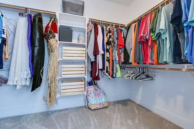 walk in closet featuring carpet floors