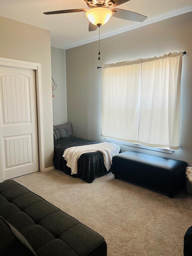 bedroom with ceiling fan and carpet floors