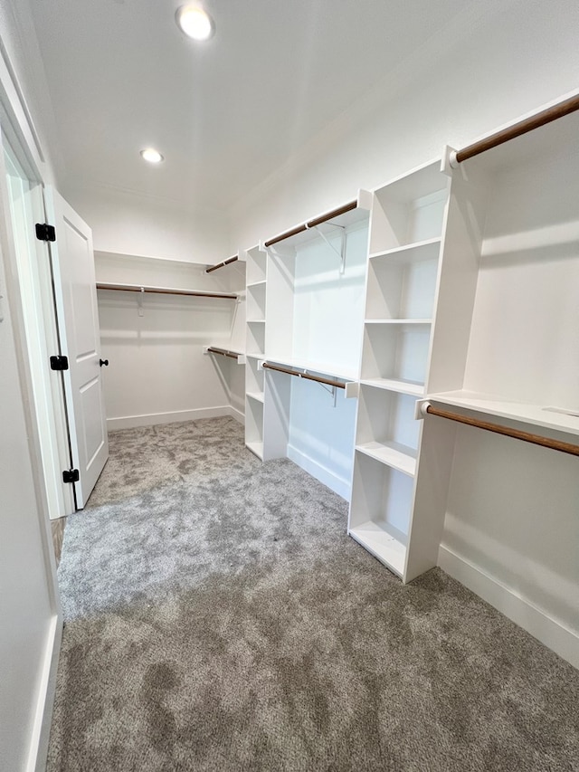 spacious closet with carpet