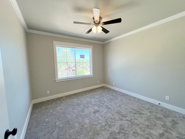 unfurnished room featuring baseboards, carpet, a ceiling fan, and crown molding