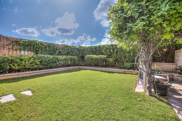 2030 Silver Creek Ct, San Angelo, TX 76904 - view of yard