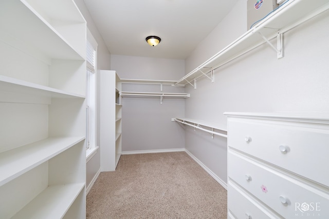 walk in closet featuring light carpet