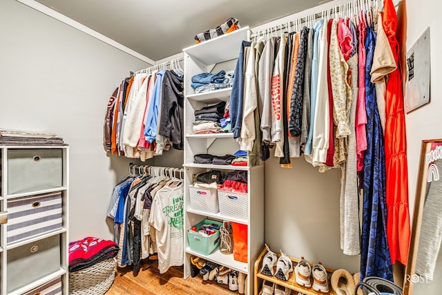 spacious closet with wood finished floors