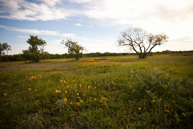 10581 Ballard Rd, San Angelo, TX 76901 - view of local wilderness featuring rural landscape