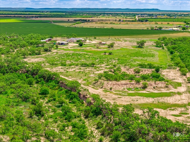 10581 Ballard Rd, San Angelo, TX 76901 - view of rural area