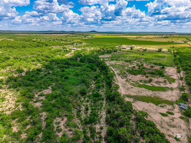 10581 Ballard Rd, San Angelo, TX 76901 - overview of rural landscape