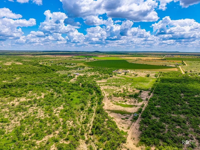 10581 Ballard Rd, San Angelo, TX 76901 - overview of rural landscape