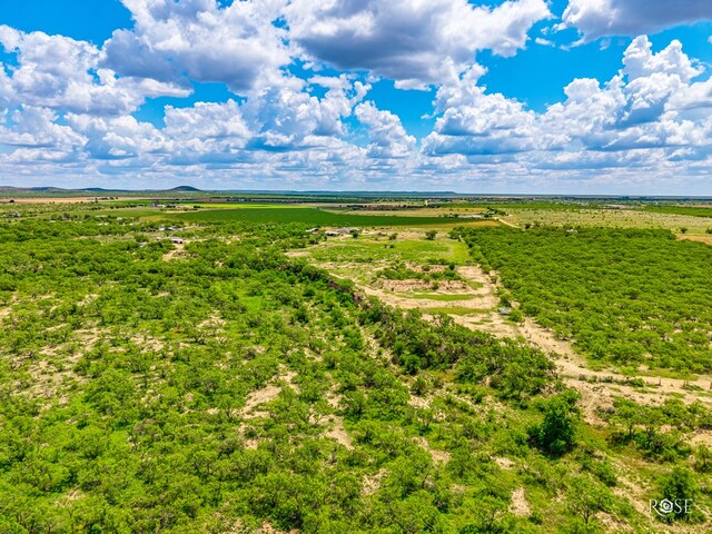 10581 Ballard Rd, San Angelo, TX 76901 - overview of rural landscape
