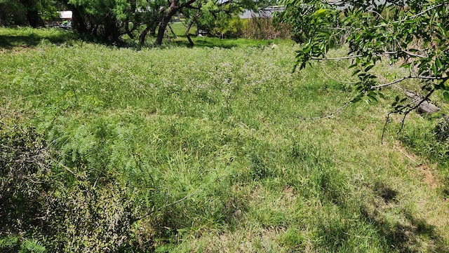  - view of nature