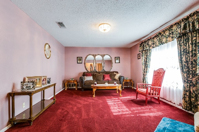 living area with carpet and a textured ceiling