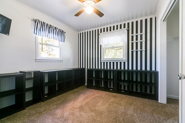 carpeted empty room featuring ceiling fan, crown molding, and a healthy amount of sunlight