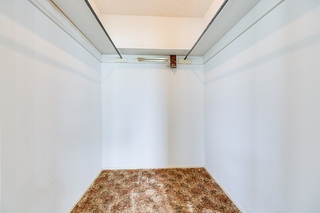 4302 Homestead Cir, Wall, TX 76903 - walk in closet with carpet flooring
