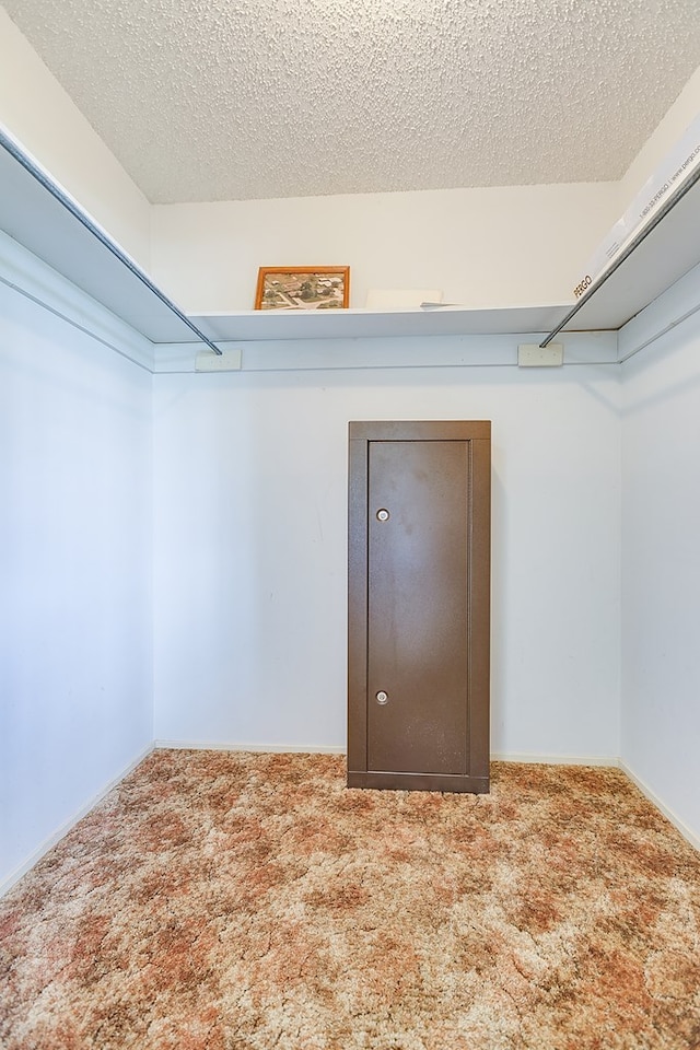 4302 Homestead Cir, Wall, TX 76903 - spacious closet with carpet flooring