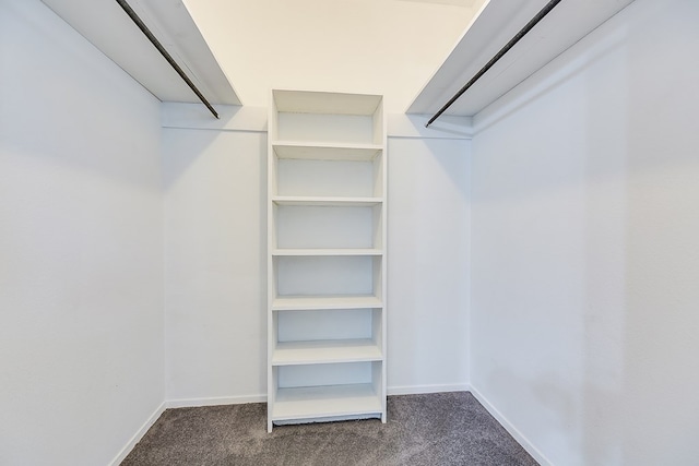 spacious closet with dark carpet