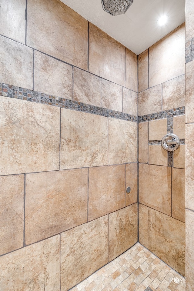 412 E Holmes Ave, Bronte, TX 76933 - bathroom view of a tile shower and recessed lighting