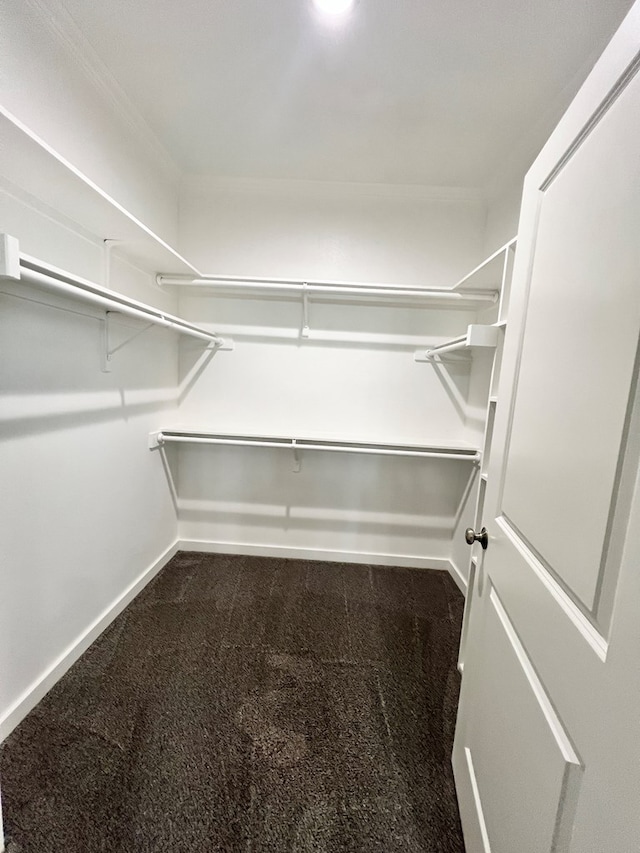 walk in closet featuring dark carpet