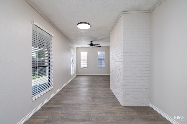 hallway with dark hardwood / wood-style floors, a textured ceiling, and a wealth of natural light