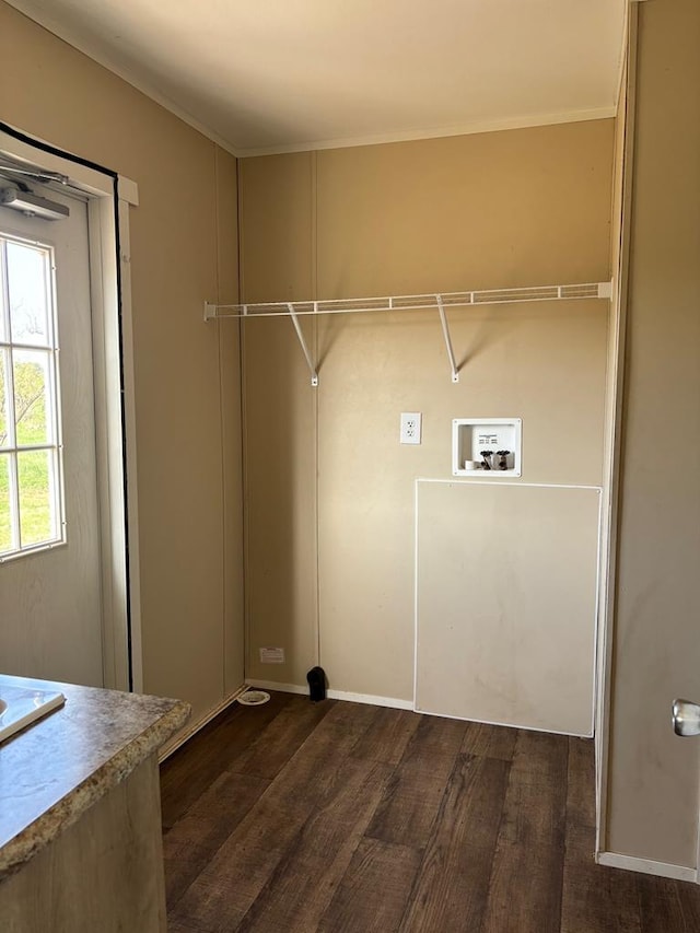 clothes washing area featuring hookup for a washing machine and dark wood-type flooring