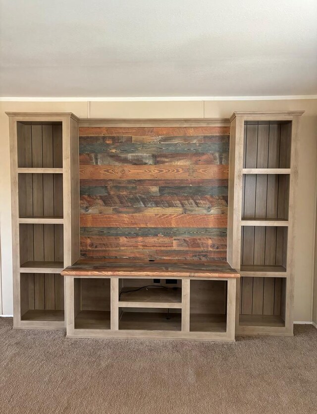 mudroom featuring carpet