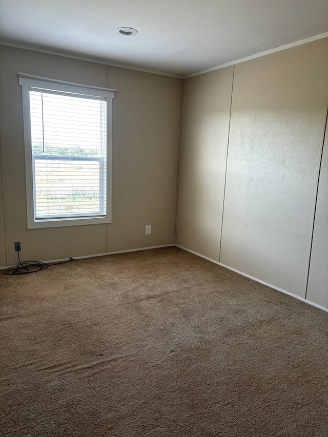 carpeted spare room with ornamental molding