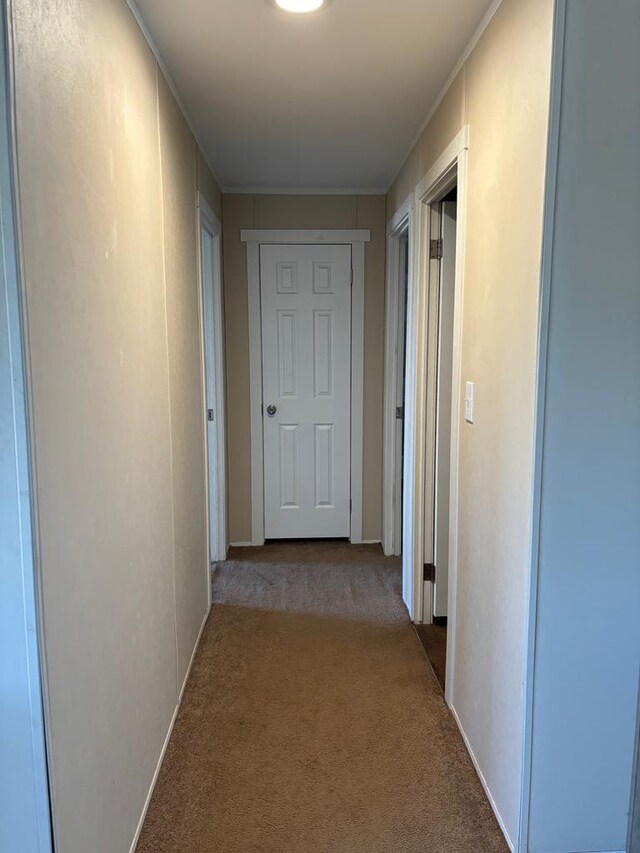 corridor with light colored carpet