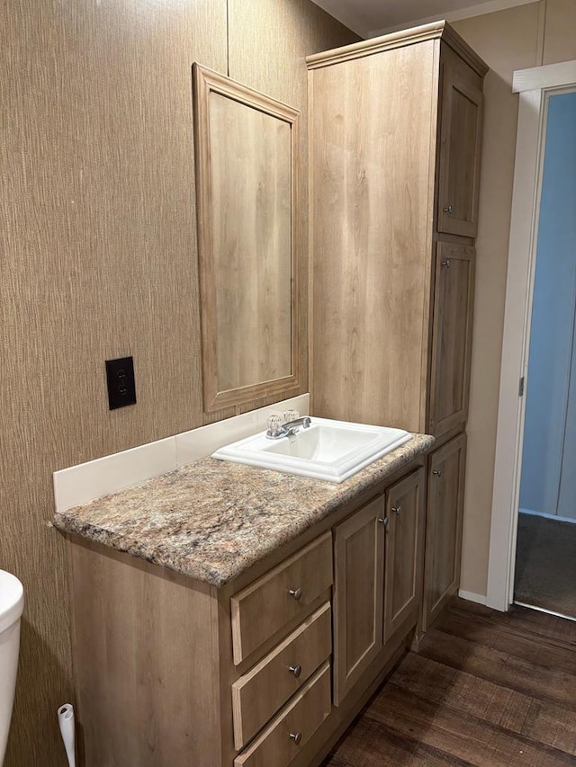 bathroom featuring hardwood / wood-style flooring, vanity, and toilet