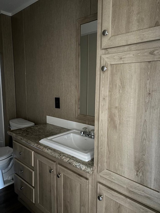 bathroom featuring ornamental molding, vanity, and toilet