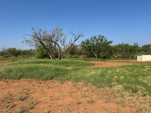 view of yard featuring a rural view