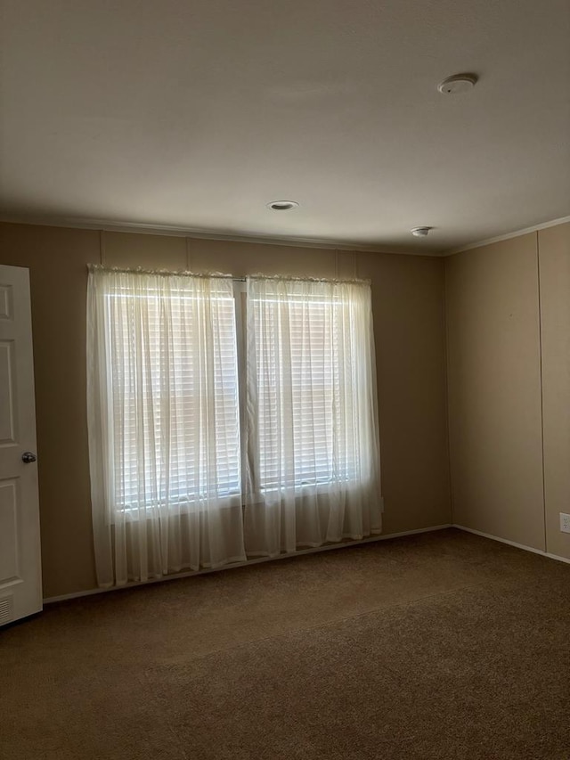 carpeted spare room featuring crown molding