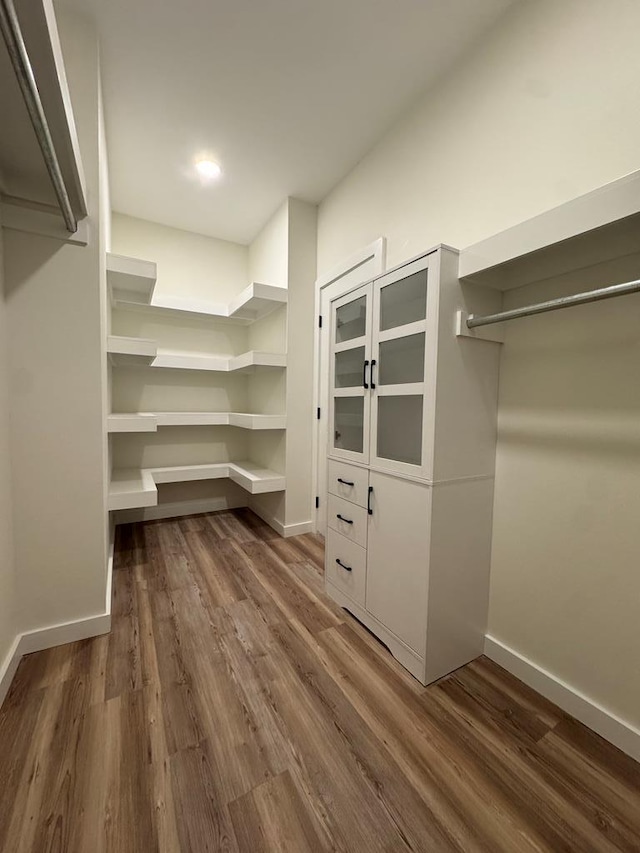 walk in closet featuring dark wood finished floors