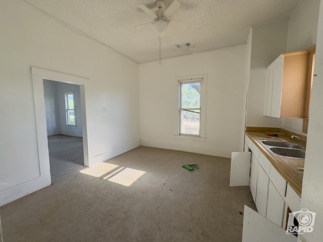 901 S Walnut St, Brady, TX 76825 - kitchen with a sink, light colored carpet, plenty of natural light, a textured ceiling, and ceiling fan