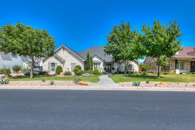 view of front of property with stone siding and a front yard