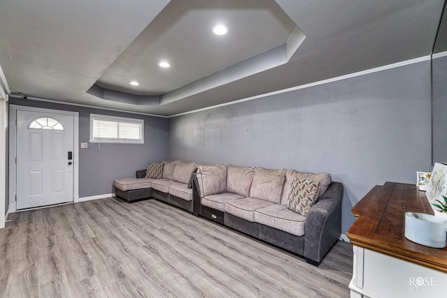 living room featuring a raised ceiling and light hardwood / wood-style flooring