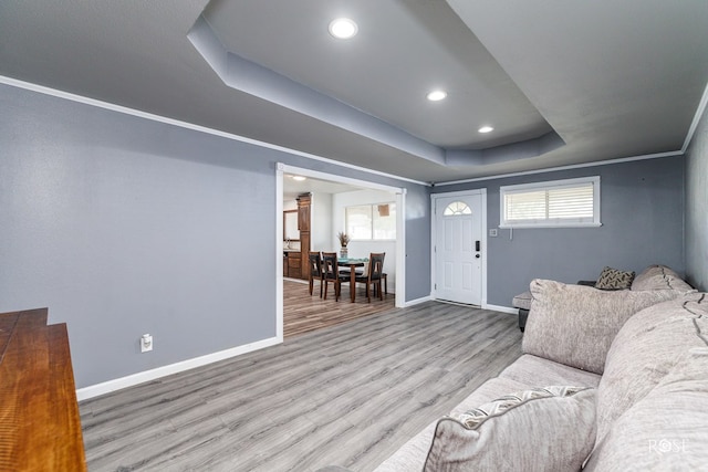 living room with a healthy amount of sunlight, a tray ceiling, and light hardwood / wood-style floors