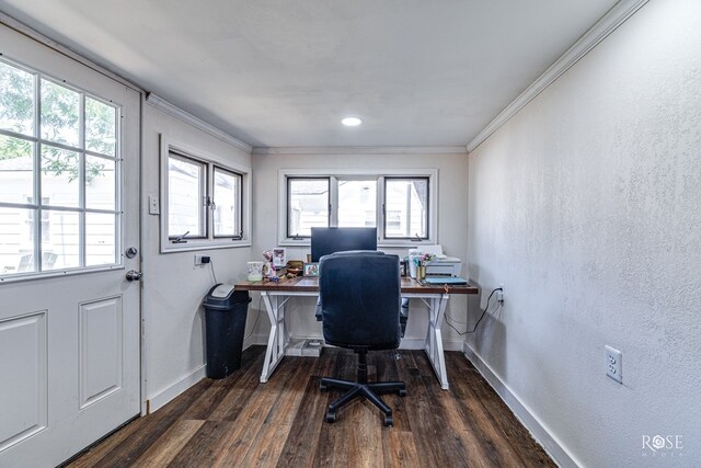 office space with crown molding and dark hardwood / wood-style flooring