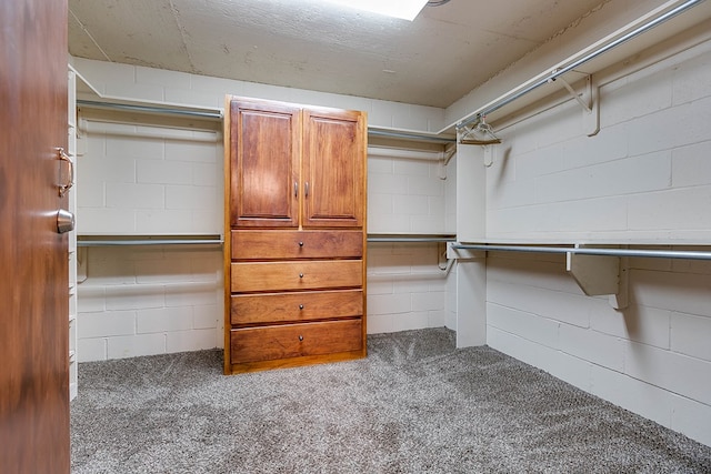 walk in closet featuring carpet