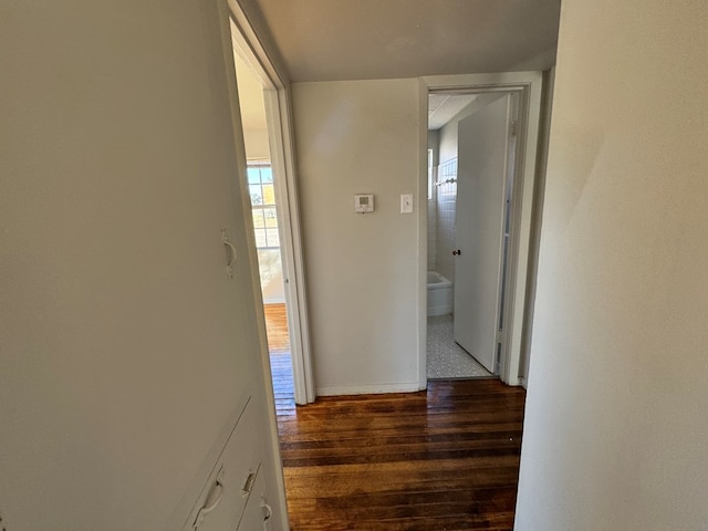 corridor featuring dark hardwood / wood-style floors