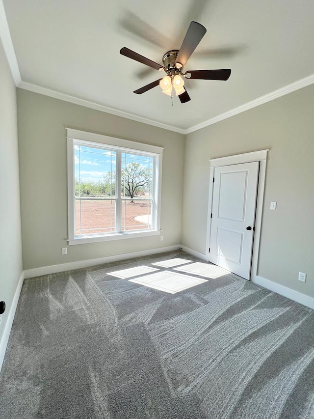 spare room featuring crown molding and carpet