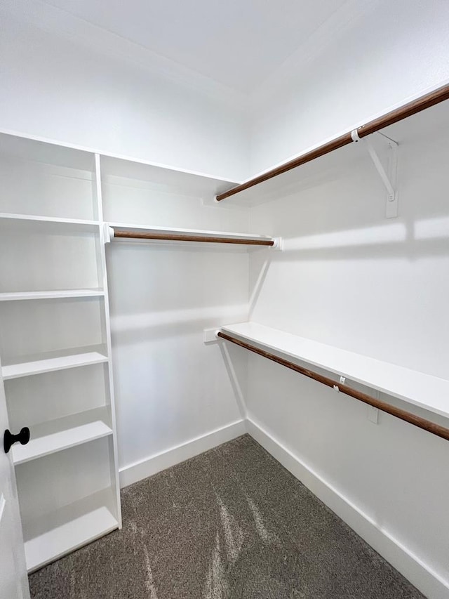 walk in closet featuring dark carpet