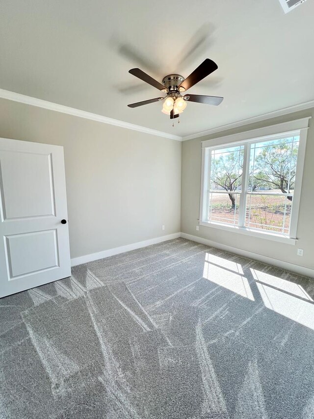 empty room featuring crown molding and carpet floors