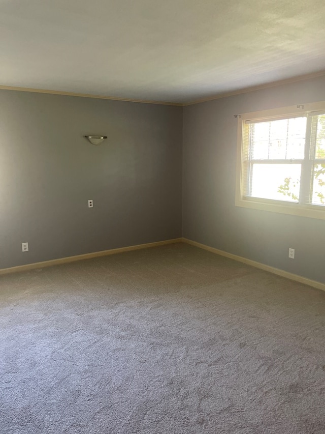 empty room with ornamental molding and carpet flooring