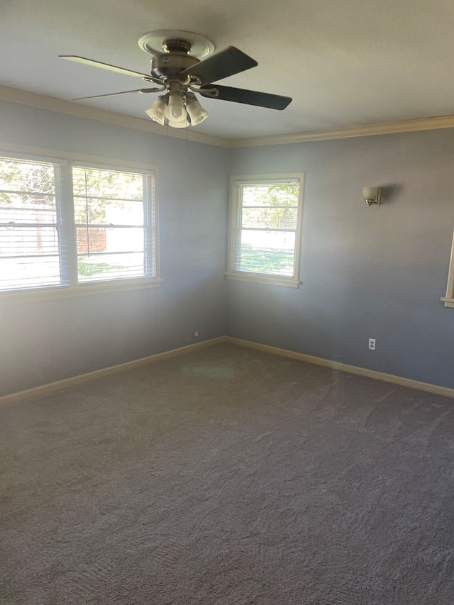 carpeted spare room with crown molding and ceiling fan