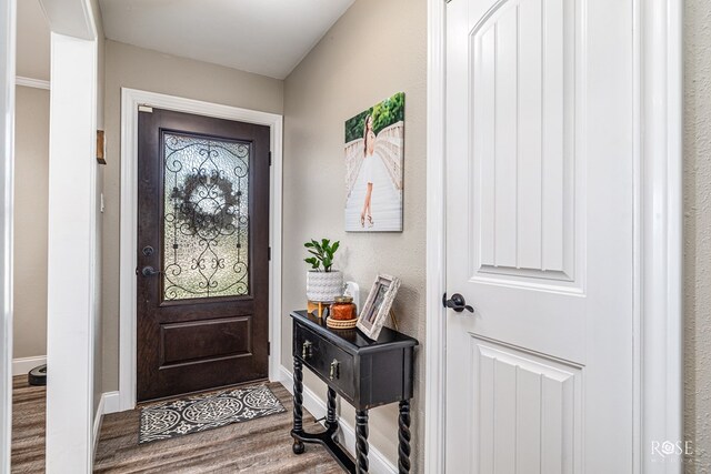 3513 Lindenwood Dr, San Angelo, TX 76904 - entryway featuring wood finished floors and baseboards
