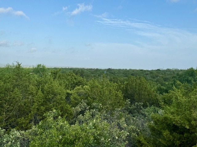 00 Gas Plant Rd, Robert Lee, TX 76903 - photo 5
