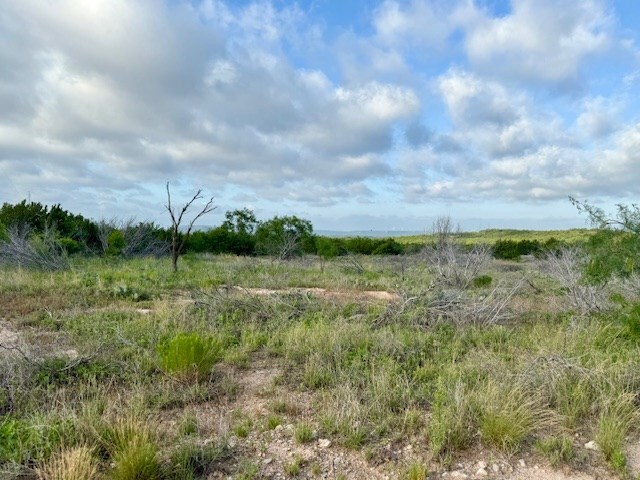 00 Gas Plant Rd, Robert Lee, TX 76903 - photo 8