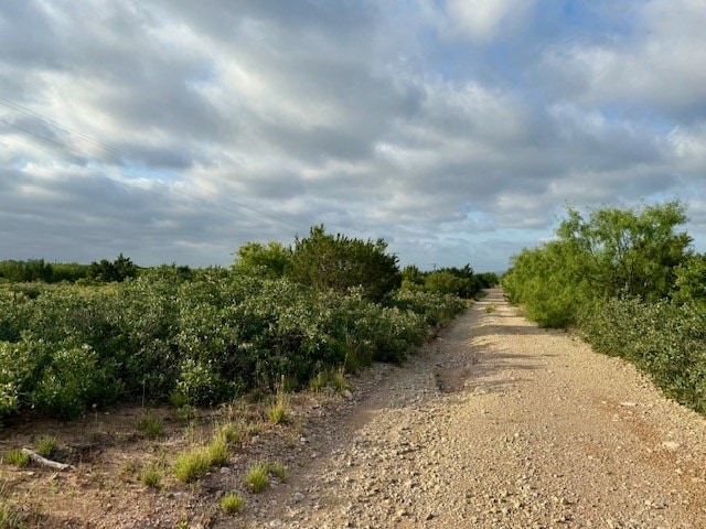 00 Gas Plant Rd, Robert Lee, TX 76903 - photo 9