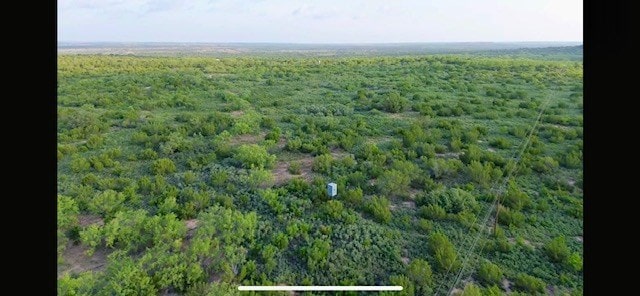 00 Gas Plant Rd, Robert Lee, TX 76903 - photo 15