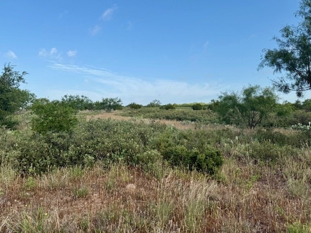 00 Gas Plant Rd, Robert Lee, TX 76903 - photo 7