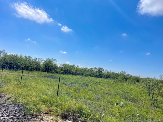 0 Mason Road Tracts 37 & 48, Big Spring, TX 79720 - photo 5