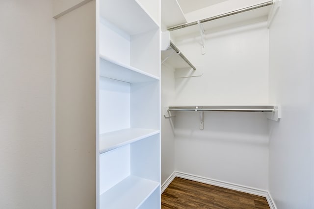 spacious closet featuring wood-type flooring